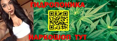 a pvp Кудымкар